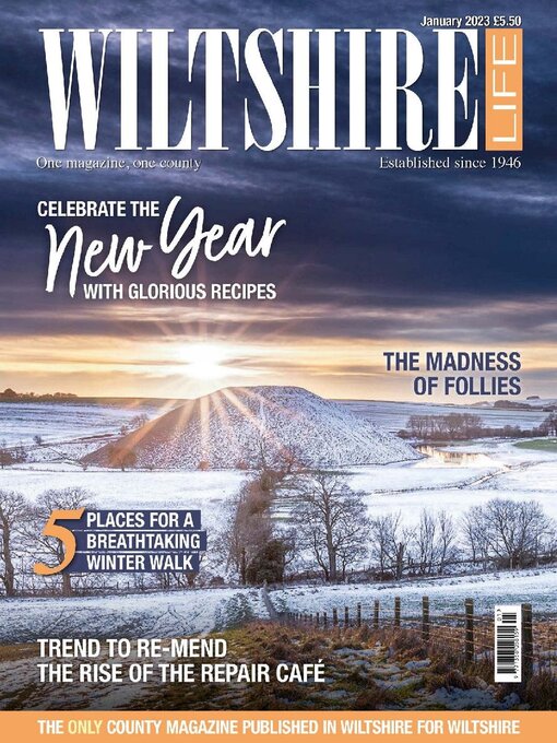 Title details for Wiltshire Life by Mark Allen Business & Leisure - Available